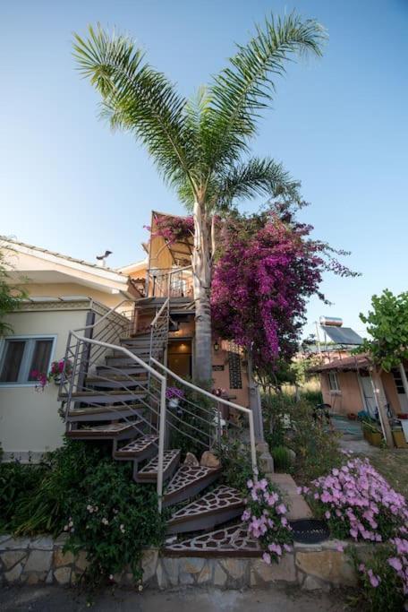 Bougainvillea House 1 Каламата Экстерьер фото